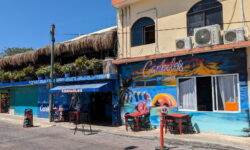 restaurant, mexique, tourista, caraibes